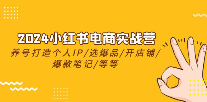 2024小红书电商实战营，养号打造IP/选爆品/开店铺/爆款笔记/等等（24节）-黑鲨创业网