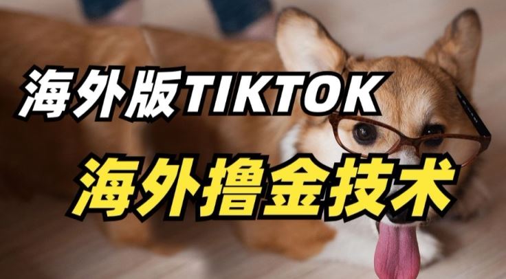 抖音海外版tiktok撸金技术，这个风口行业，赚钱真的不难【揭秘】-黑鲨创业网