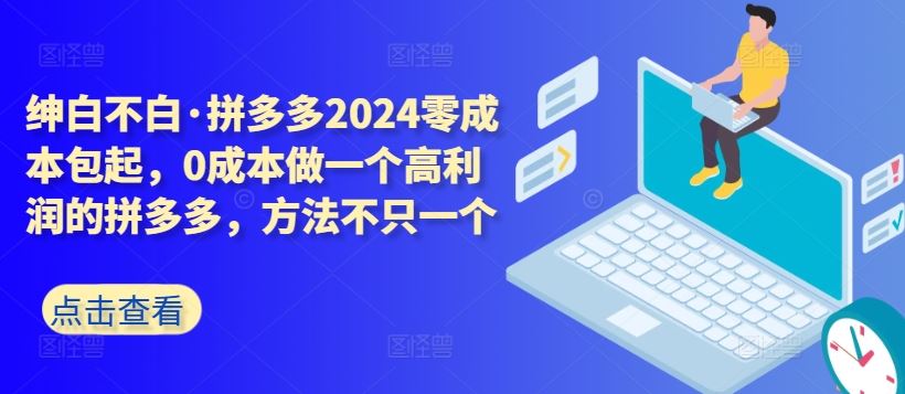 拼多多2024零成本包起，0成本做一个高利润的拼多多，方法不只一个-黑鲨创业网