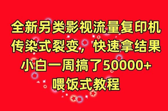 全新另类影视流量复印机，传染式裂变，快速拿结果，小白一周搞了50000+，喂饭式教程【揭秘】-黑鲨创业网