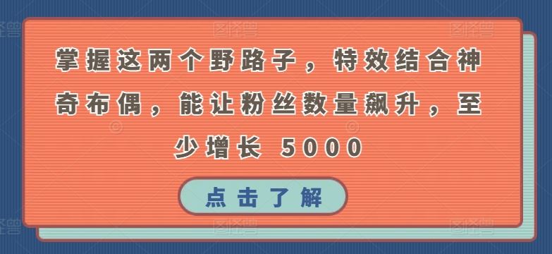 掌握这两个野路子，特效结合神奇布偶，能让粉丝数量飙升，至少增长 5000【揭秘】-黑鲨创业网