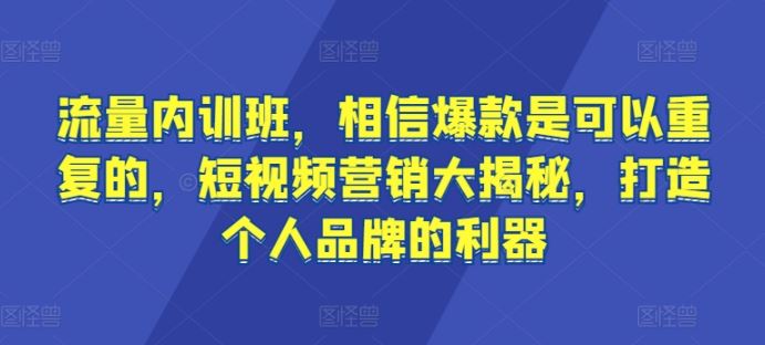 流量内训班，相信爆款是可以重复的，短视频营销大揭秘，打造个人品牌的利器-黑鲨创业网