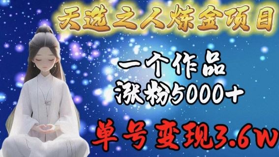 天选之人炼金项目，一个作品涨粉5000+，单号变现3.6w【揭秘】-黑鲨创业网