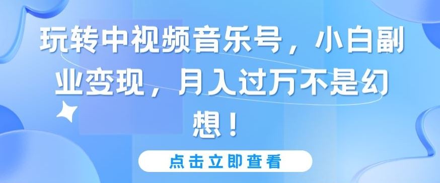 玩转中视频音乐号，小白副业变现，月入过万不是幻想【揭秘】-黑鲨创业网