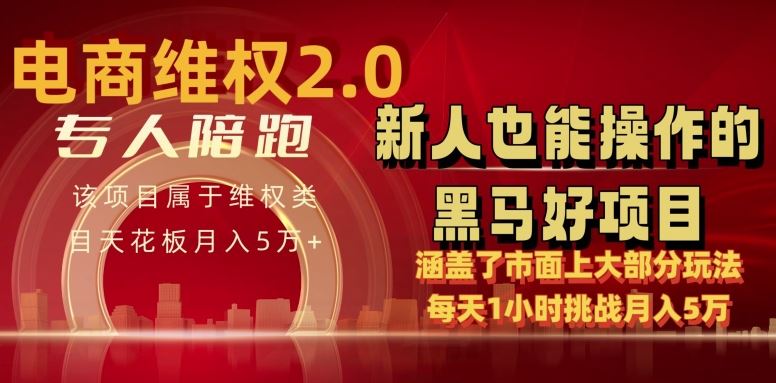 电商维权 4.0 如何做到月入 5 万+每天 1 小时新人也能快速上手【仅揭秘】-黑鲨创业网