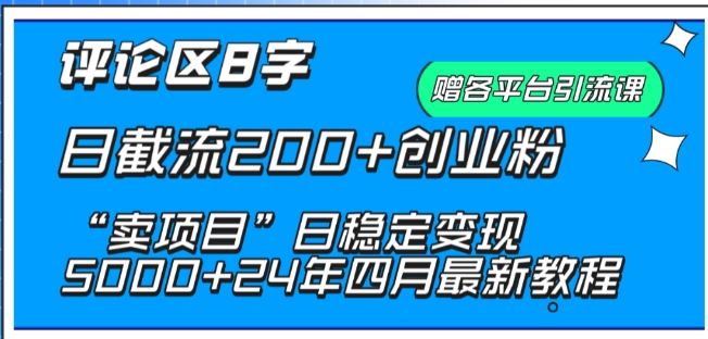 抖音评论区8字日截流200+创业粉 “卖项目”日稳定变现5000+【揭秘】-黑鲨创业网