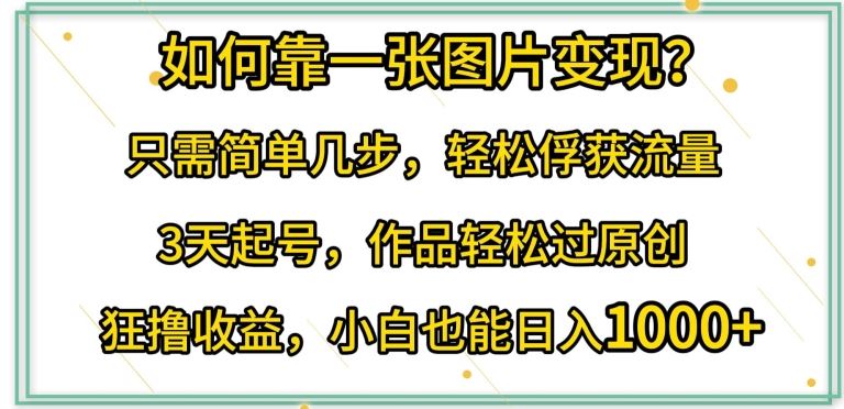 如何靠一张图片变现?只需简单几步，轻松俘获流量，3天起号，作品轻松过原创【揭秘】-黑鲨创业网