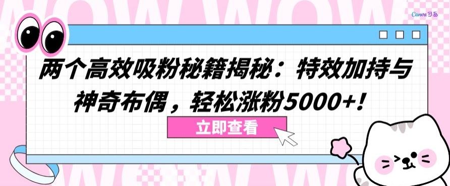 两个高效吸粉秘籍揭秘：特效加持与神奇布偶，轻松涨粉5000+【揭秘】-黑鲨创业网