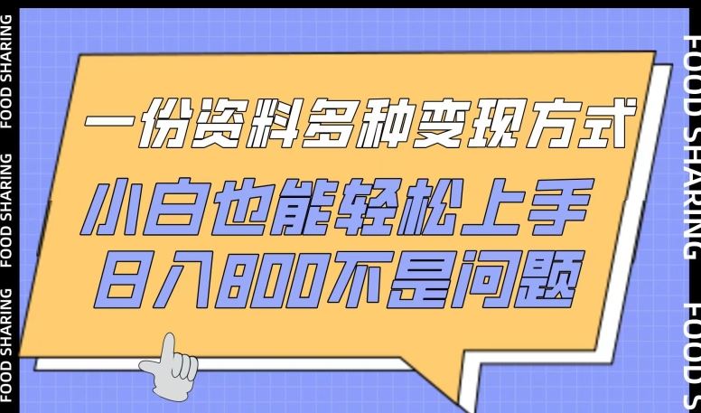 一份资料多种变现方式，小白也能轻松上手，日入800不是问题【揭秘】-黑鲨创业网