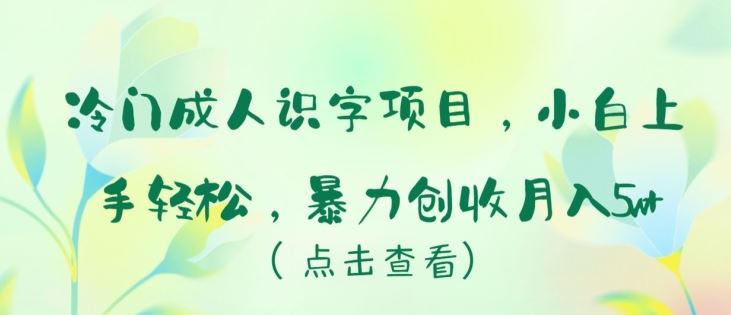 冷门成人识字项目，小白上手轻松，暴力创收月入5w+【揭秘】-黑鲨创业网