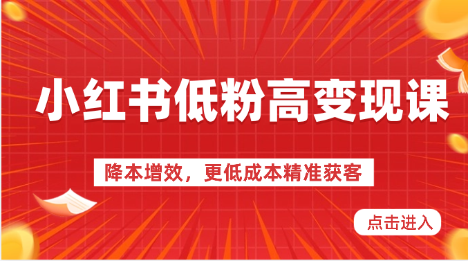 小红书低粉高变现课-降本增效，更低成本精准获客，小红书必爆的流量密码-黑鲨创业网