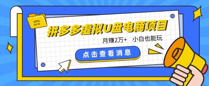 拼多多虚拟U盘电商红利项目：月赚2万+，新手小白也能玩-黑鲨创业网