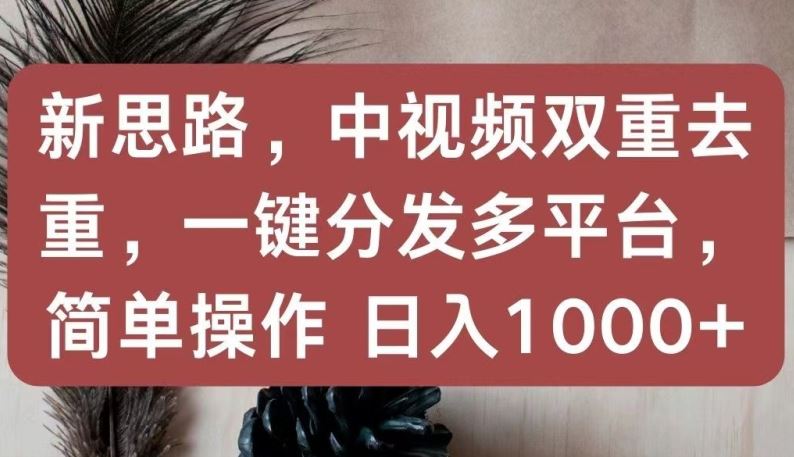 新思路，中视频双重去重，一键分发多平台，简单操作，日入1000+【揭秘】-黑鲨创业网