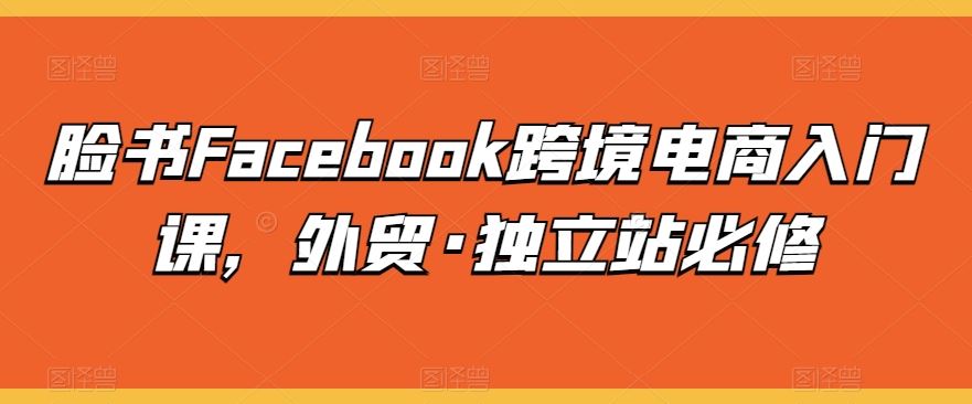 脸书Facebook跨境电商入门课，外贸·独立站必修-黑鲨创业网