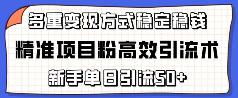 精准项目粉高效引流术，新手单日引流50+，多重变现方式稳定赚钱【揭秘】-黑鲨创业网