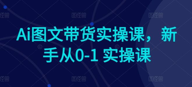 Ai图文带货实操课，新手从0-1 实操课-黑鲨创业网