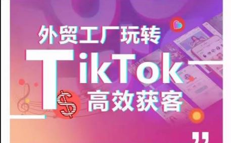 外贸工厂玩转TikTok高效获客，多种引流方式与账号定位技巧，拆解爆款短视频打造成功案例-黑鲨创业网