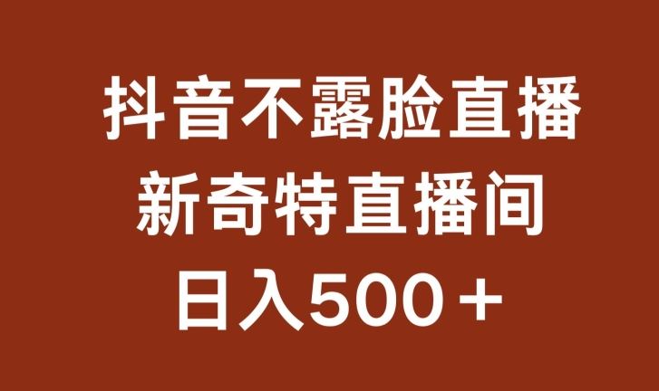 不露脸挂机直播，新奇特直播间，日入500+【揭秘】-黑鲨创业网