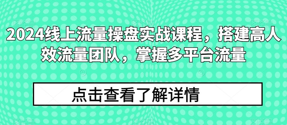 2024线上流量操盘实战课程，搭建高人效流量团队，掌握多平台流量-黑鲨创业网