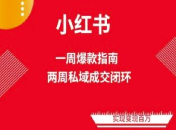 爆款小红书免费流量体系课程(两周变现)，小红书电商教程-黑鲨创业网