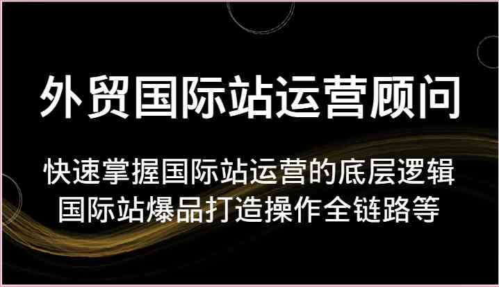 外贸国际站运营顾问-快速掌握国际站运营的底层逻辑，国际站爆品打造操作全链路等-黑鲨创业网