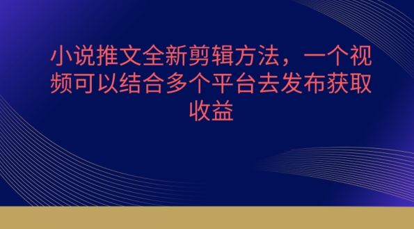 小说推文全新剪辑方法，一个视频可以结合多个平台去发布获取【揭秘】-黑鲨创业网