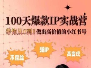 小红书100天爆款IP实战营，带你从0到1做出高价值的小红书号-黑鲨创业网