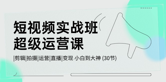 短视频实战班超级运营课 |剪辑|拍摄|运营|直播|变现 小白到大神 (30节)-黑鲨创业网