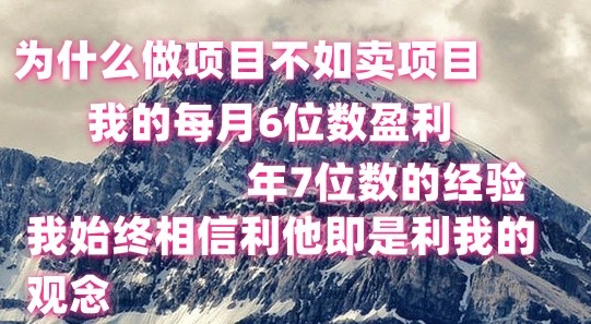 做项目不如卖项目，每月6位数盈利，年7位数经验-黑鲨创业网