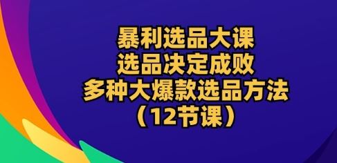 暴利选品大课：选品决定成败，教你多种大爆款选品方法(12节课)-黑鲨创业网