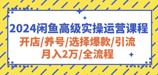 2024闲鱼高级实操运营课程：开店/养号/选择爆款/引流/月入2万/全流程-黑鲨创业网