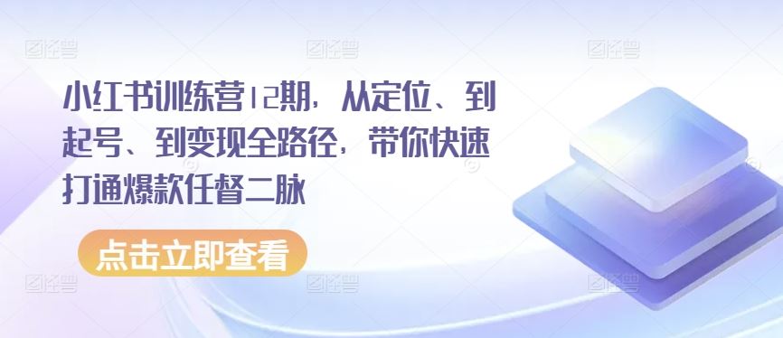 小红书训练营12期，从定位、到起号、到变现全路径，带你快速打通爆款任督二脉-黑鲨创业网