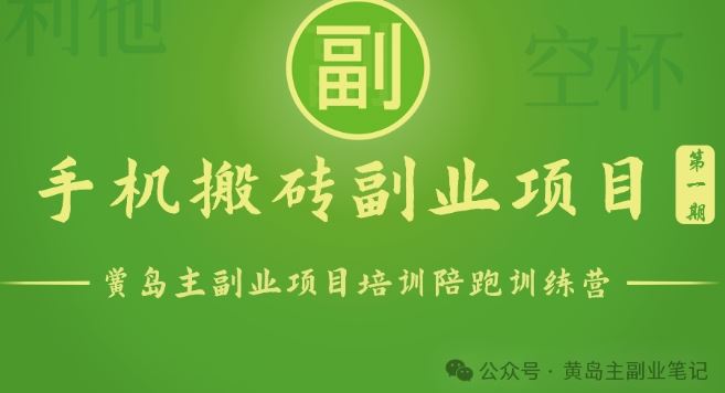 手机搬砖小副业项目训练营1.0，实测1小时收益50+，一部手机轻松日入100+-黑鲨创业网