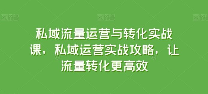 私域流量运营与转化实战课，私域运营实战攻略，让流量转化更高效-黑鲨创业网