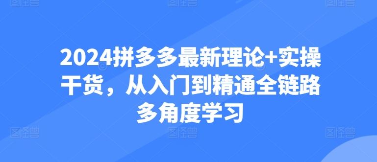 2024拼多多最新理论+实操干货，从入门到精通全链路多角度学习-黑鲨创业网