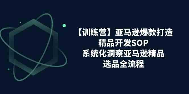 亚马逊爆款打造之精品开发SOP【训练营】，系统化洞察亚马逊精品选品全流程-黑鲨创业网