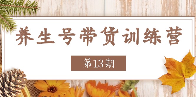 养生号带货训练营【第13期】收益更稳定的玩法，让你带货收益爆炸-黑鲨创业网