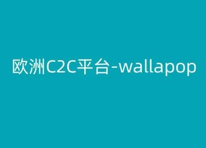 欧洲C2C平台-wallapop-kim跨境电商教程-黑鲨创业网