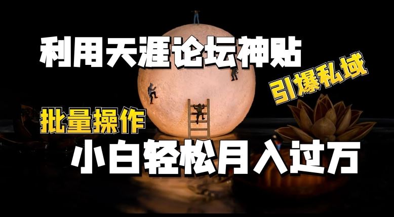 利用天涯论坛神贴，引爆私域，批量操作，小白轻松月入过w【揭秘】-黑鲨创业网