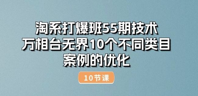 淘系打爆班55期技术：万相台无界10个不同类目案例的优化(10节)-黑鲨创业网