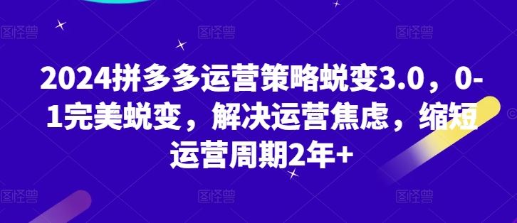 2024拼多多运营策略蜕变3.0，0-1完美蜕变，解决运营焦虑，缩短运营周期2年+-黑鲨创业网