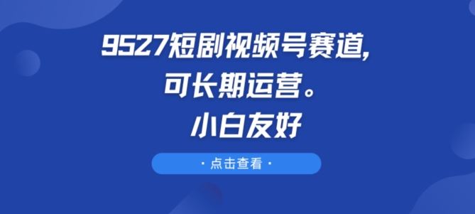 9527短剧视频号赛道，可长期运营，小白友好【揭秘】-黑鲨创业网