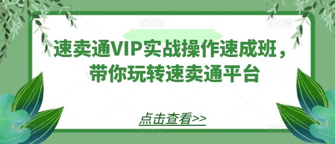 速卖通VIP实战操作速成班，带你玩转速卖通平台-黑鲨创业网