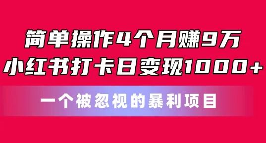 简单操作4个月赚9w，小红书打卡日变现1k，一个被忽视的暴力项目【揭秘】-黑鲨创业网