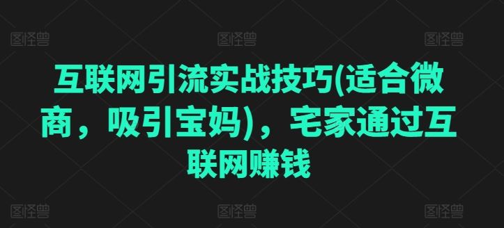 互联网引流实战技巧(适合微商，吸引宝妈)，宅家通过互联网赚钱-黑鲨创业网