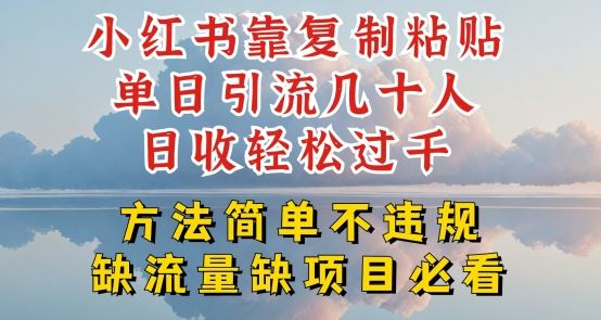 小红书靠复制粘贴单日引流几十人目收轻松过千，方法简单不违规【揭秘】-黑鲨创业网