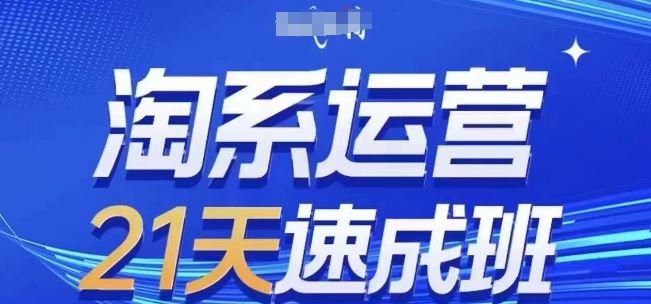 淘系运营21天速成班(更新24年6月)，0基础轻松搞定淘系运营，不做假把式-黑鲨创业网