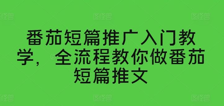 番茄短篇推广入门教学，全流程教你做番茄短篇推文-黑鲨创业网