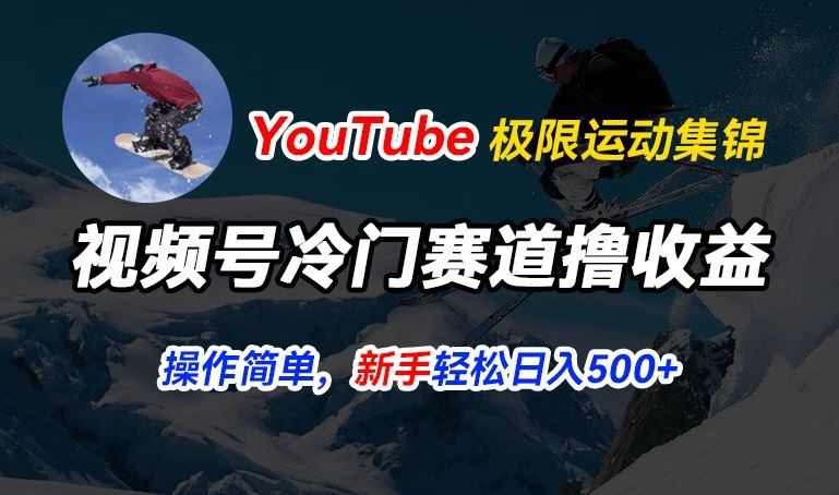 视频号冷门赛道撸收益，YouTube搬运极限运动集锦，暴力起号，操作简单流量高，轻松日入5张【揭秘】-黑鲨创业网