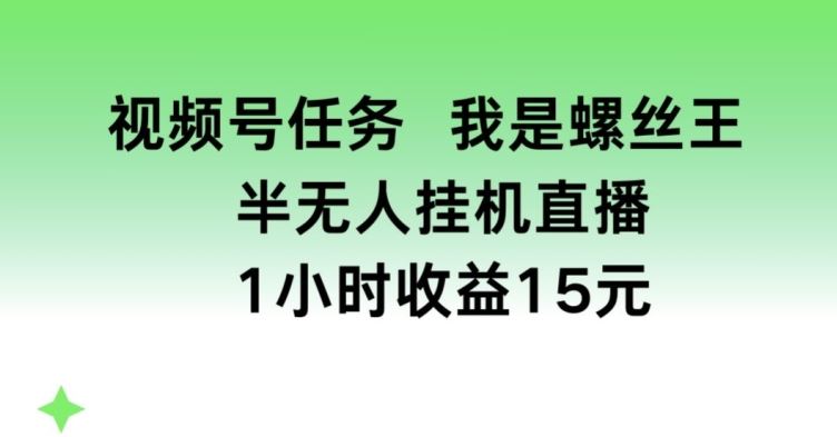 视频号任务，我是螺丝王， 半无人挂机1小时收益15元【揭秘】-黑鲨创业网